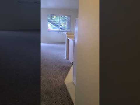 SC Sierra One - Video 2 of 2