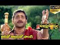 Annamayya Video Songs Adhivo Alladivo Nagarjuna Ramya Krishnan Kasturi Full HD