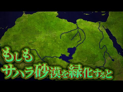 ピラミッド型ポプラ、柱状ポプラ 植物