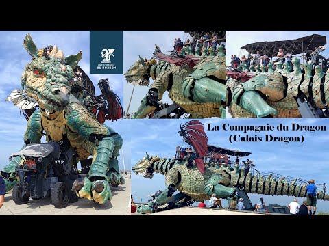 Calais Dragon (La Compagnie du Dragon) Ride France
