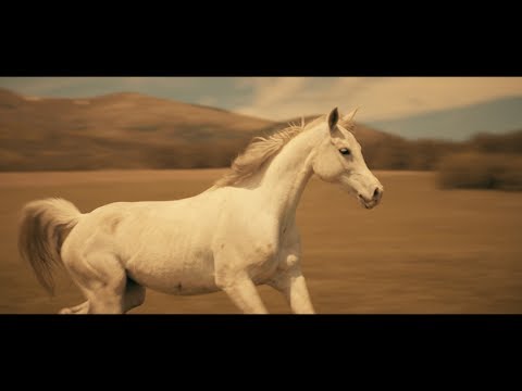 Эдуард Лазарев — Белая с косой