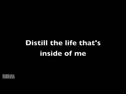 download lagu mp3 mp4 Pennyroyal Tea Lyrics, download lagu Pennyroyal Tea Lyrics gratis, unduh video klip Pennyroyal Tea Lyrics