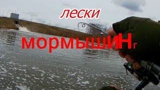 Ссылка