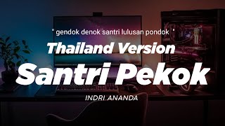 Download lagu DJ SANTRI PEKOK THAILAND STYLE x GEDRUK x SLOW BASS ' gendok denok santri lulusan pondok ' Dj FEBRI mp3