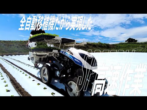 【野菜作機械】全自動野菜移植機 PVZ100 紹介動画_井関農機