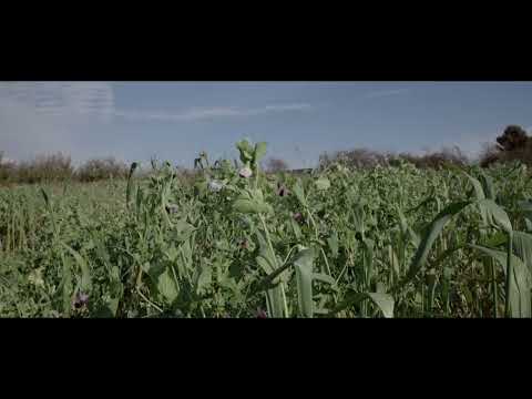 Sholan Farms in November