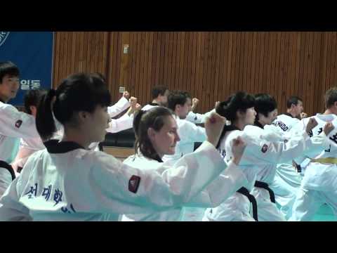Chosun University International Taekwondo Academy - Second day