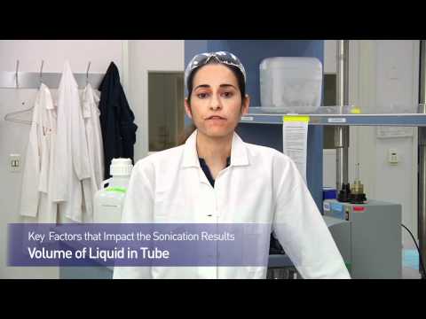 ChIP Optimization: Chromatin Shearing in ChIP