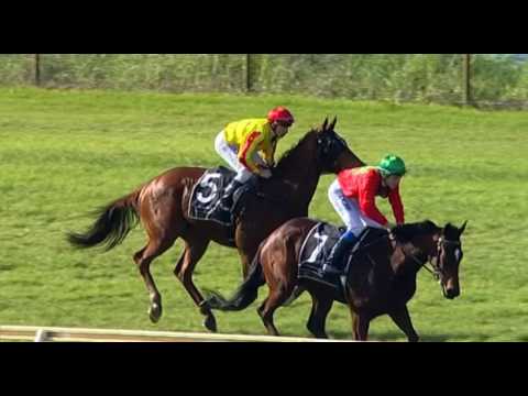 Belmont Park, 25/06/2016 - Race 4 - MILITARY RULER - Brian McAuliffe & William Pike