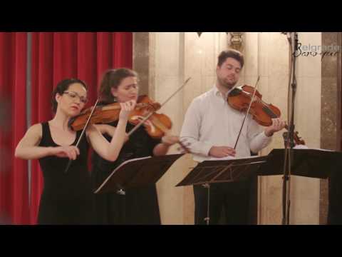 Belgrade Baroque: N. Porpora - Cello Concerto in G major - Live @ Belgrade City Hall