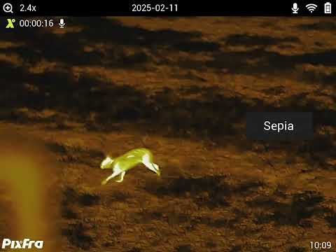 PixFra ARC A635P LRF