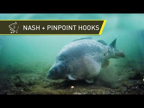 Nash Tackle - Pinpoint Hooks - Marc Voosen Interview with Alan Blair
