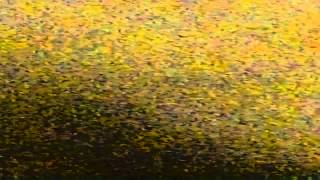 Music video thumbnail preview for bone awl - The One Grinning by Bone Awl