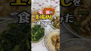 【工場飯】世界の工場 東莞で工場飯が美味すぎました！#工場飯 #世界の工場 #東莞