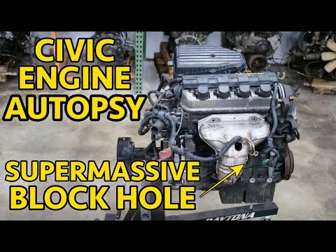 Why Is the D17 The Worst D Series Ever Made? Blown Engine Teardown