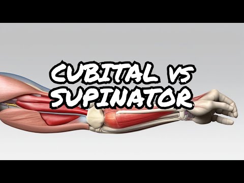 Surprising Differences Between Cubital Tunnel vs Supinator Syndrome Diagnosis
