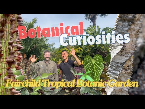 Meet TONS of Fascinating Plants! Fairchild Tropical Botanic Garden Miami 🇺🇸