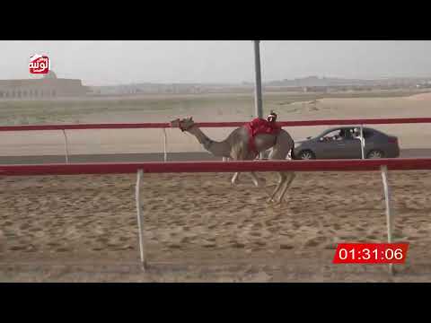  ش 15 (الشبابيه) لـ عثمان صديق عمر البطحاني 2:12 ، شارة صندوق حلفه 2026/05/03 فطامين سويحان