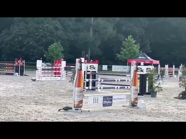 show video