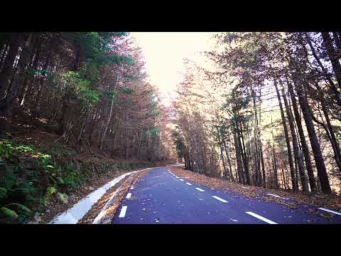 Drumuri forestiere, Tiha Bârgăului