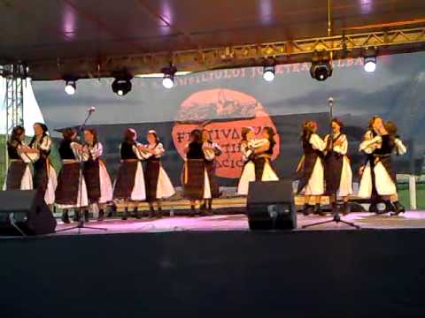 Ansamblul de Dans Dor de pe Tarnava-Jiana