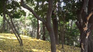 God be with you till we meet again.  (Patti Page)