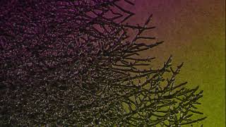 Victoria Hume – “Oblivious Structures”