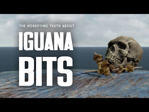 The Horrifying Truth About Iguana Bits - The Full Story of Doc Morbid - Fallout 1 Lore