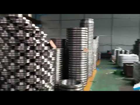 Stainless Steel Flanges