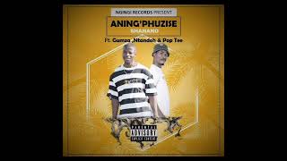 Download lagu Shanano - Aning'phuzise (ft Gumza, Ntandor & Pop Tee mp3
