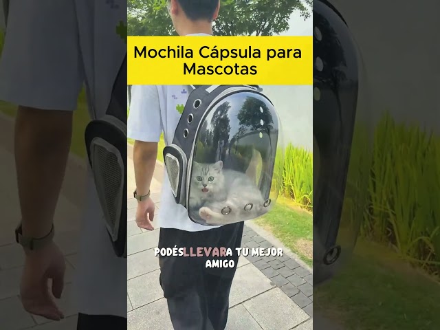Vídeo relacionado con Nidddiv Mochilas Classic, mochila transparente resistente con bolsillo transparente para libros con opciones de color para estadios deportivos escolares y así sucesivamente. Mochilas para perros