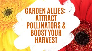 Garden Allies: Flowers That Attract Pollinators & Boost Your Harvest.