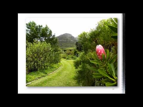 Noordhoek Villa 2010