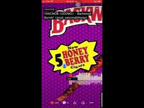 GDOMO - BACKWOOD BURNIN’ (prod.yancmoblilsosa)