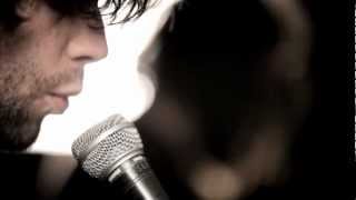 The See See - Gold and Honey