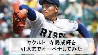 寺島成輝をオーペナで引退までプレイしてみる【パワプロ2017】