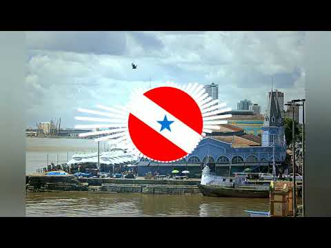 Banda amazonas - Não vá embora amor