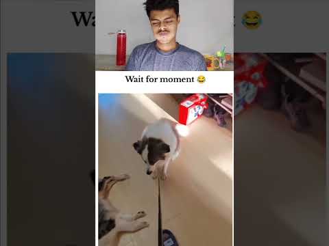 Wait For Moment.             #shorts