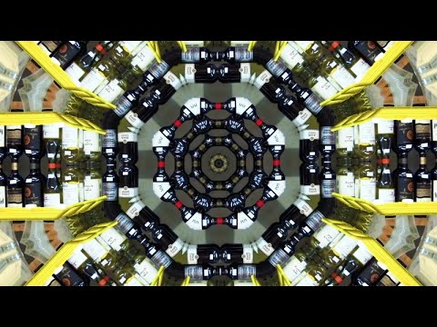 Wrongtom Meets The Ragga Twins - ...And Dub The Body (Official Video)