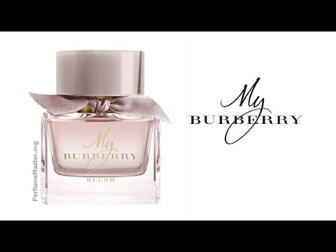 My Burberry Blush Perfume