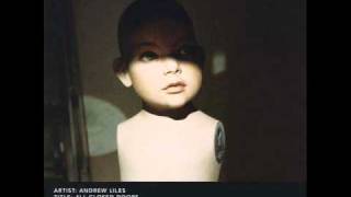 andrew liles - what will never be