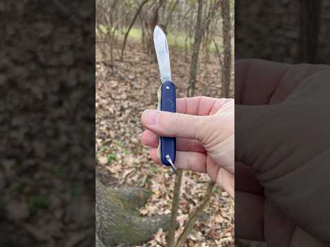 Camillus EDC3 ~ Extensive-use Review.