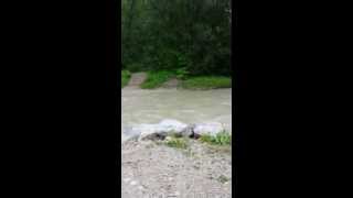 preview picture of video 'Hochwasser in Adnet / Waidach / Hallein /Salzburg'
