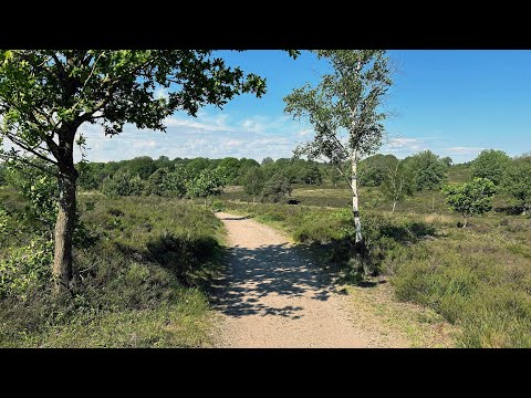 Wandelen over het Pieterpad - etappe 11 - Hellendoorn-Holten