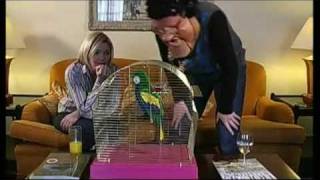 Bo Selecta Craig David Kes