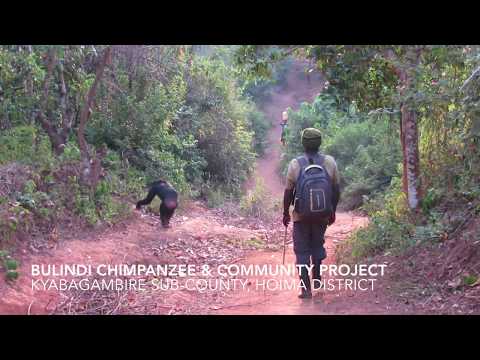 Resolve Human-Chimpanzee Conflicts w/ Water Wells