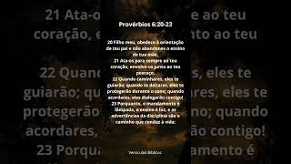 Louvado seja o nosso Senhor Jesus Cristo.    Provérbios Capitulo 6 Versículos 20, 21, 22, 23