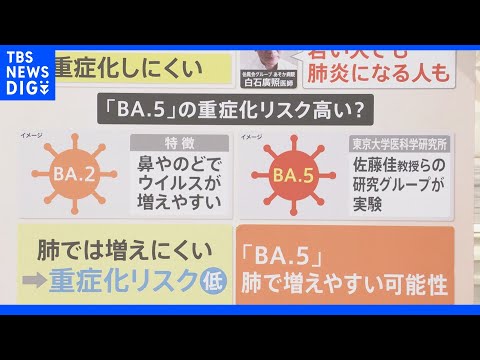 感染者の最大80%はコロナ症状なし?研究ではそう言われています