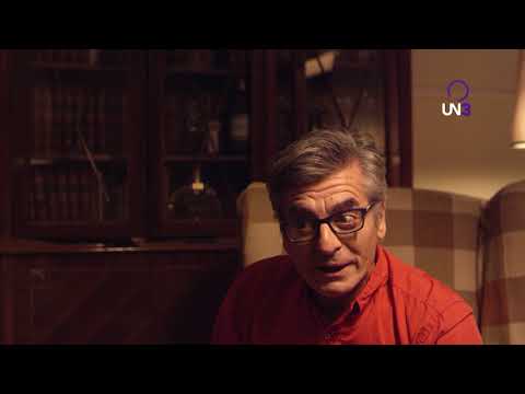 AGREGADOS RECIENTEMENTE - PETISOS