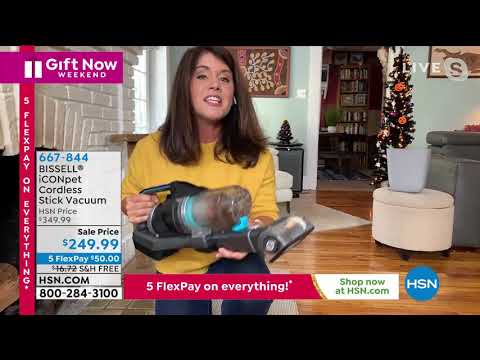 BISSELL iCONpet Cordless Stick Vacuum
